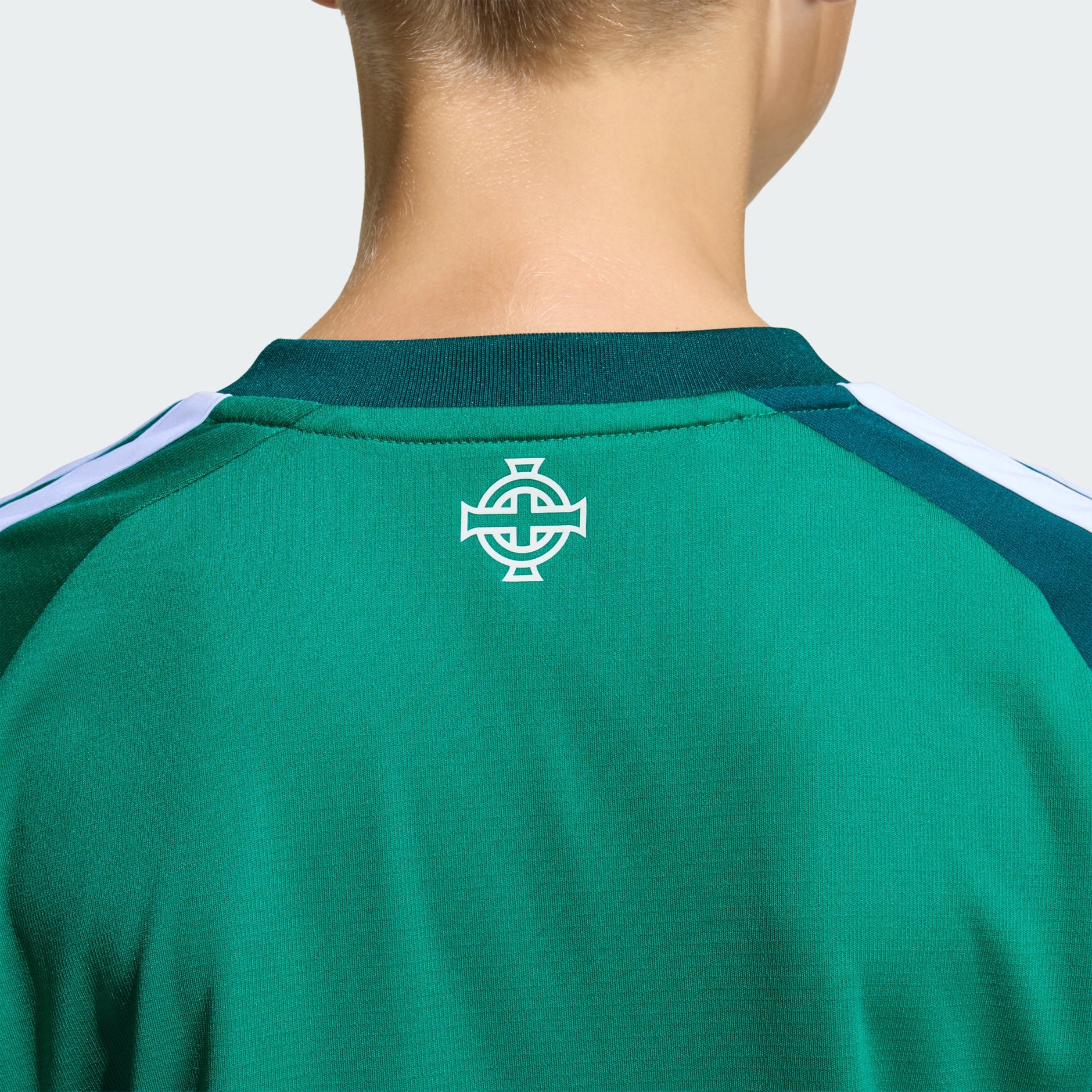 Dječji domaći dres Sjeverna Irska 26