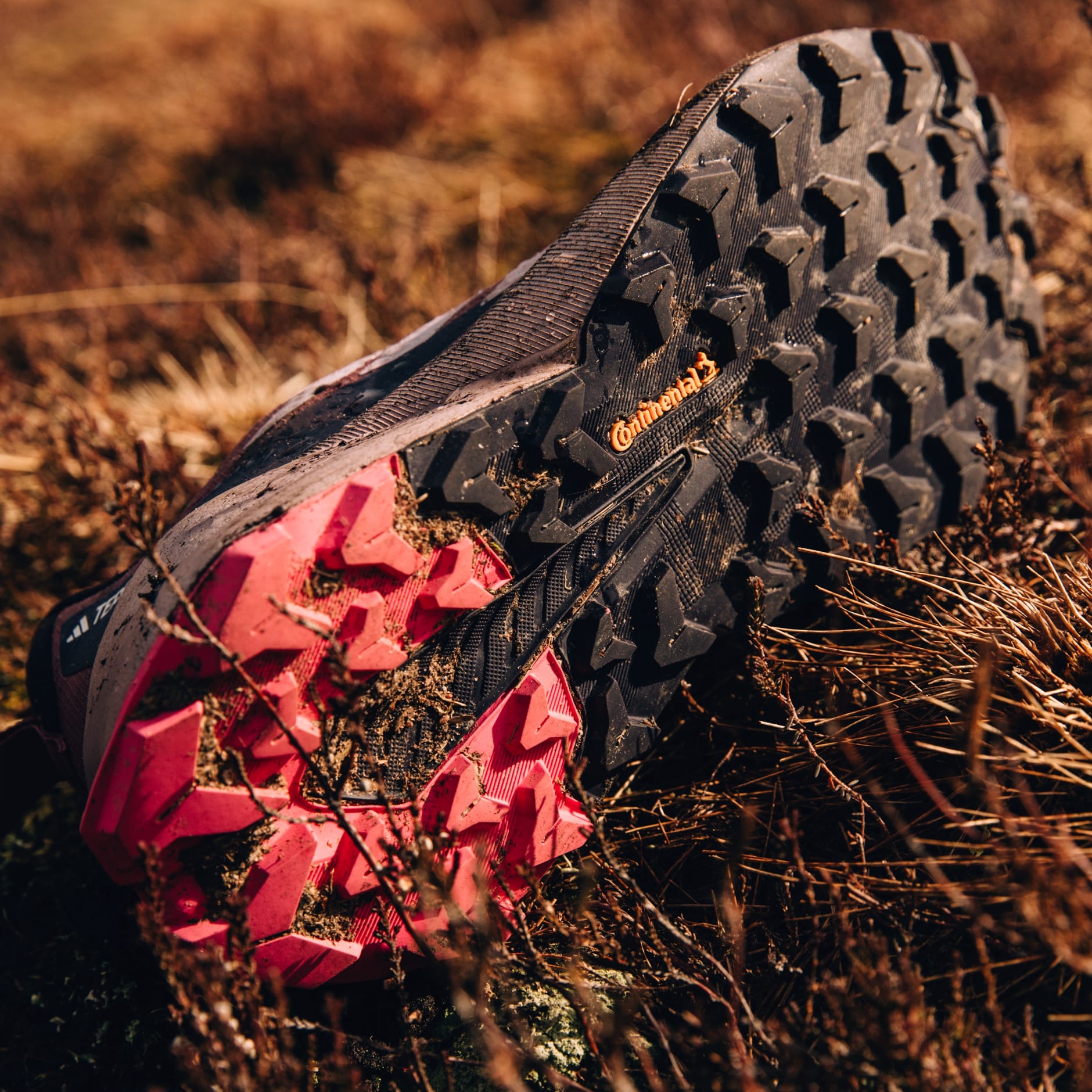 Tenis de Senderismo Terrex Trailmaker 2.0 GORE-TEX