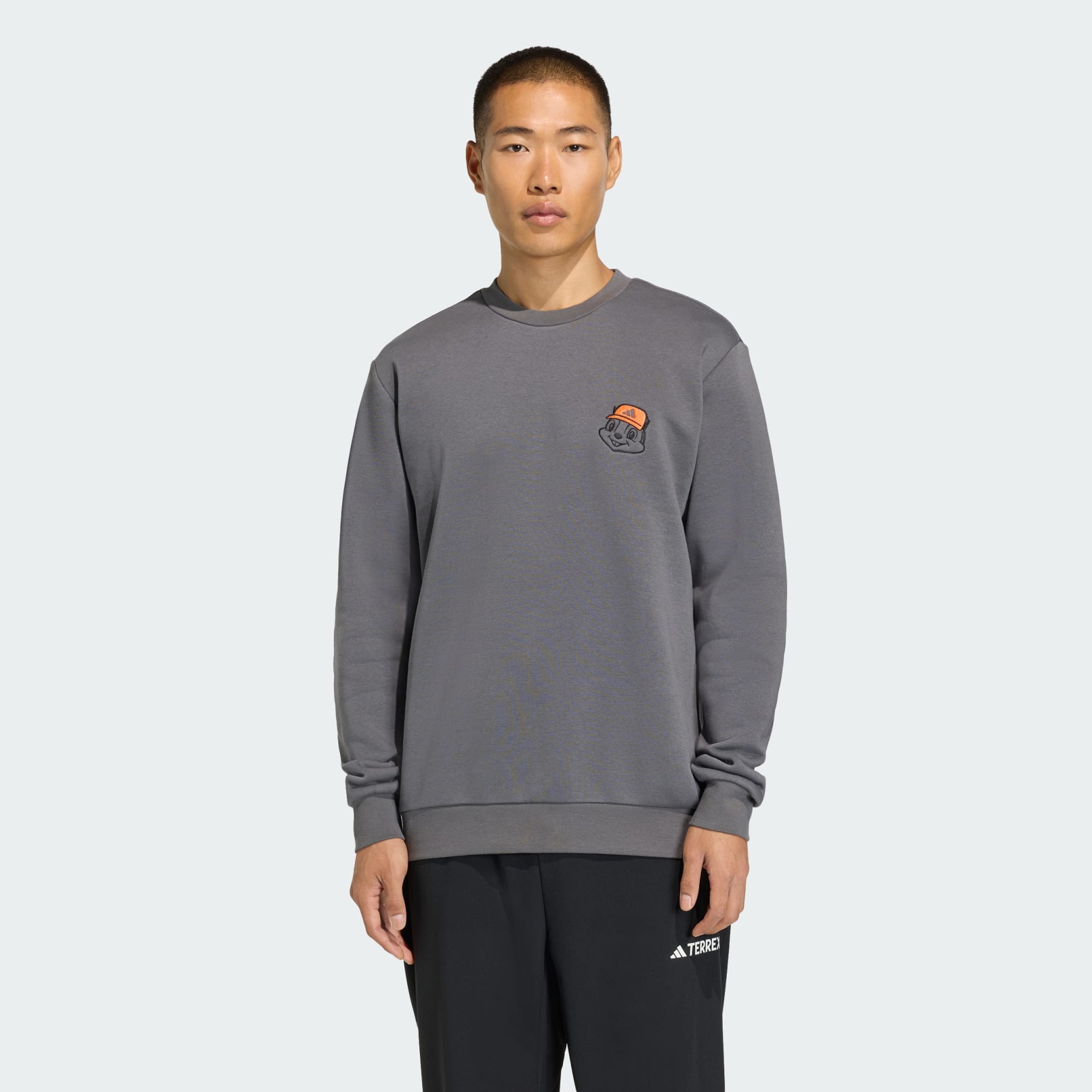 TERREX TRAIL RULES GRAPHIC CREW Sweatshirt