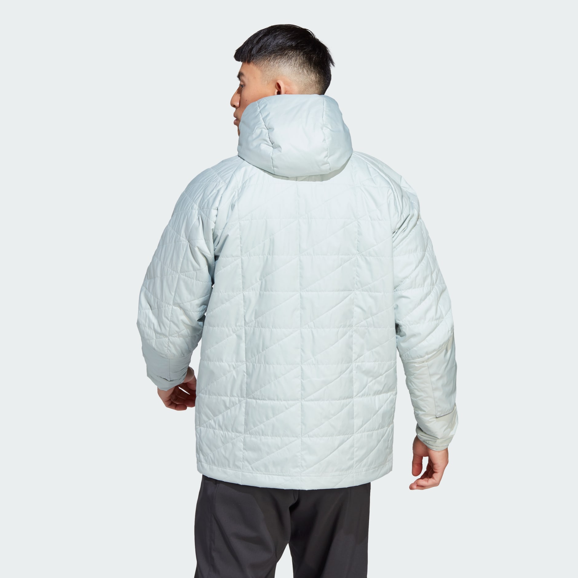 Terrex Multi Insulation Hooded Jacket