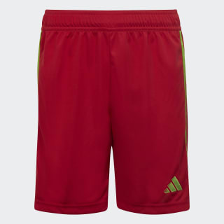Farbe: Team Collegiate Red / Team Semi Sol Green2