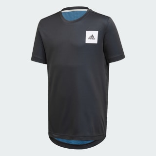 Aeroready tecnología