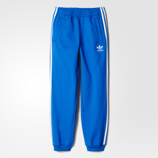 superstar bluebird