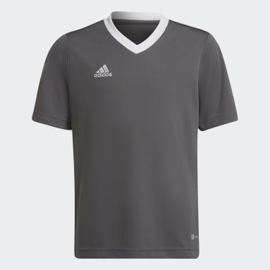 Camisola Entrada 22 Cinzento Criança Futebol