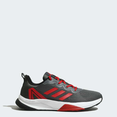 RADDIS 2.0 M
