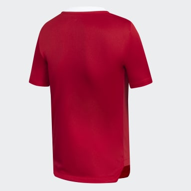 Camiseta Selección Chilena Rojo Niño Fútbol