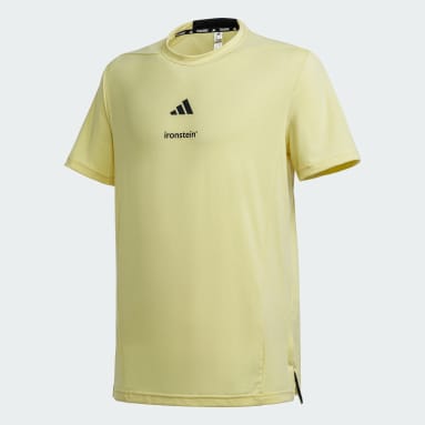D4T TEE ironstein