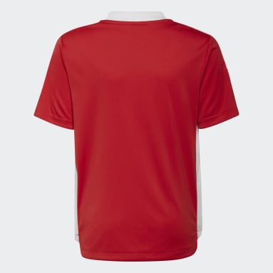 Camiseta entrenamiento Ajax Tiro Rojo Niño Fútbol