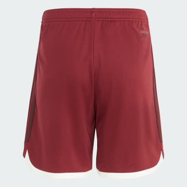 Calções do Terceiro Equipamento 23/24 do FC Bayern München – Criança Bordô Criança Futebol