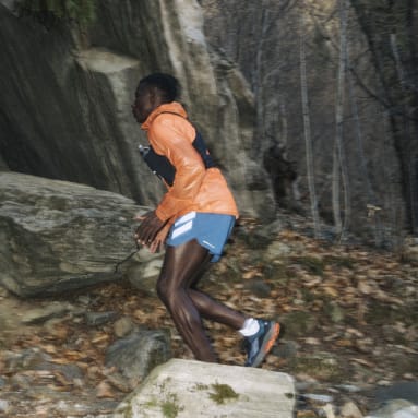 Shorts de Trail Running Terrex Agravic