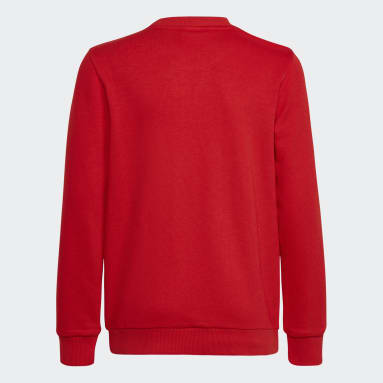 Polerón Essentials Rojo Niño Sportswear