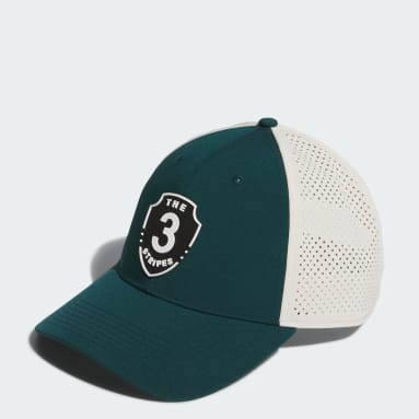 그래픽 3 캡