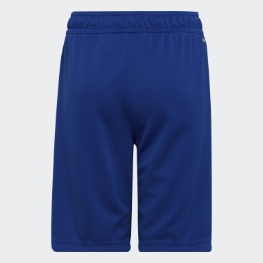 Boys Sportswear Blue Designed 2 Move Shorts