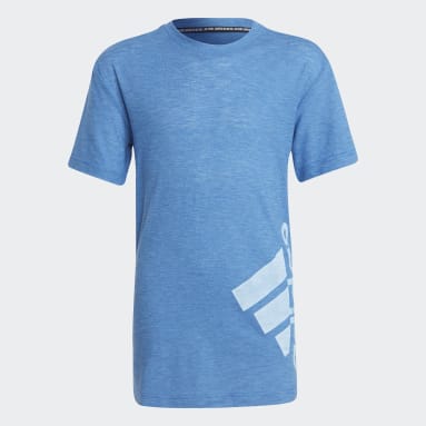 Camiseta Badge of Sport Summer Azul Niño Sportswear