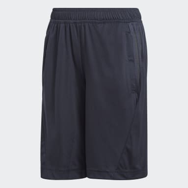 Boys Sportswear Blå Training Equipment shorts
