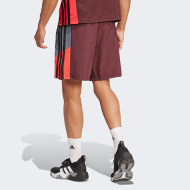 Train Essentials Seasonal Colorblock Shorts