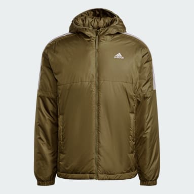 Männer Sportswear Essentials Insulated Hooded Jacke Grün