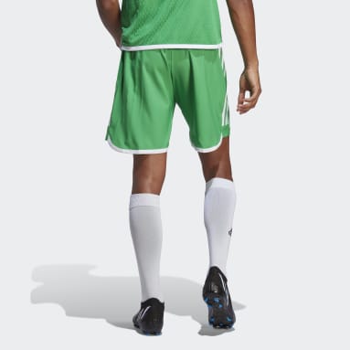 Männer Fußball Tiro 23 Competition Match Shorts Grün