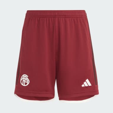Calções do Terceiro Equipamento 23/24 do FC Bayern München – Criança Bordô Criança Futebol