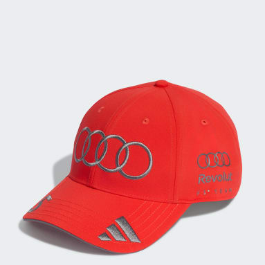 CAPPELLINO AUDI REVOLUT F1 TEAM GABRIEL BORTOLETO