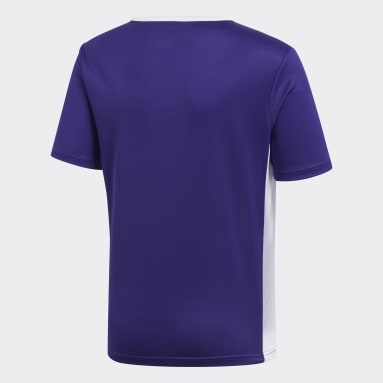Youth 8-16 Years Soccer Purple Entrada Jersey