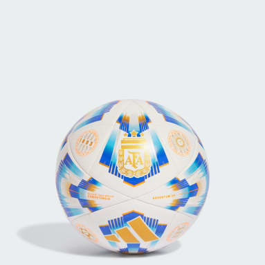 Ballon de compétition Argentum 24