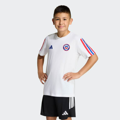 Polera con ADN de Chile para niños