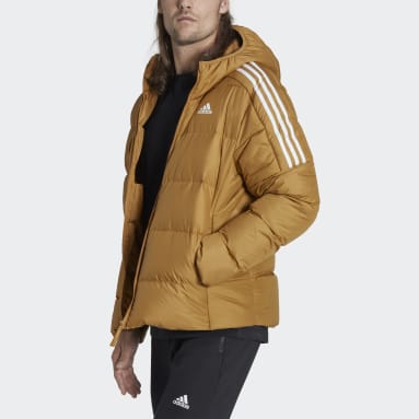 Mænd TERREX Brun Essentials Midweight Down Hooded jakke