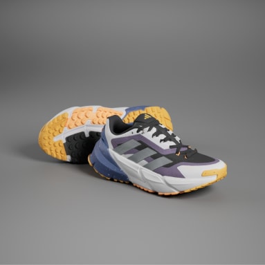 Sapatilhas COLD.RDY Adistar Cinzento Running