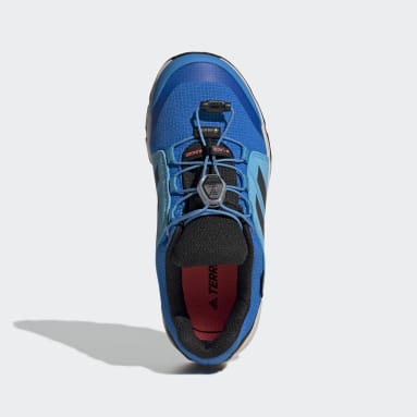 Terrex GORE-TEX Hiking Sko Blå