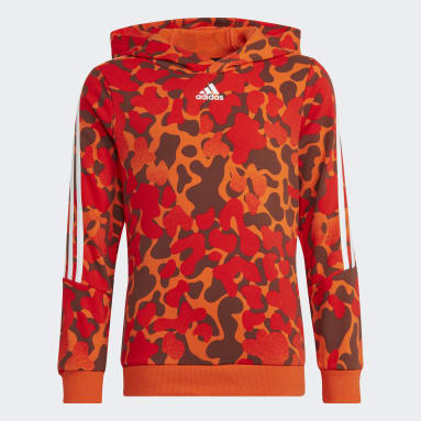 Sudadera con capucha Future Icons Graphic 3 bandas