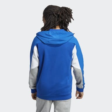 Men Sportswear Blue Essentials Colorblock Full-Zip Hoodie