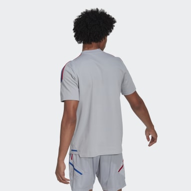 Männer Fußball Olympique Lyon Tiro 21 Training Poloshirt Grau