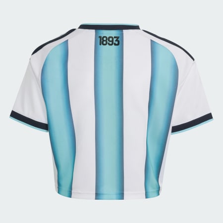 Argentina 26 Home Cropped Jersey