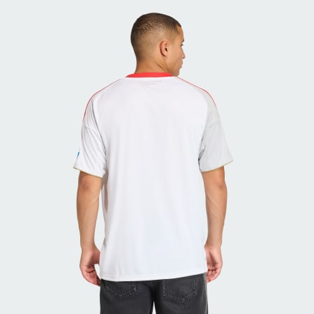 Tricou 1.FC Nuernberg Tricou (m&acirc;necă scurtă)