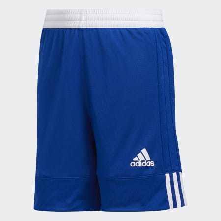 3G Speed Reversible Shorts