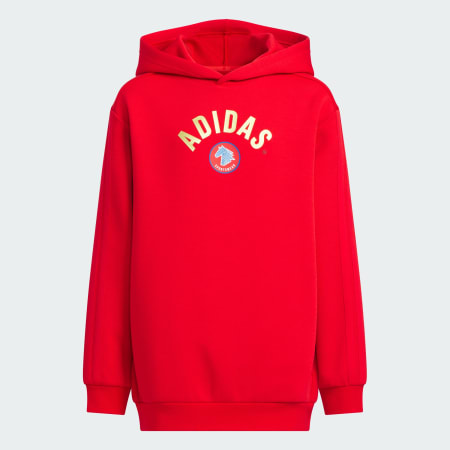 SPORTSWEAR Junior Boy Knitted Hoodie