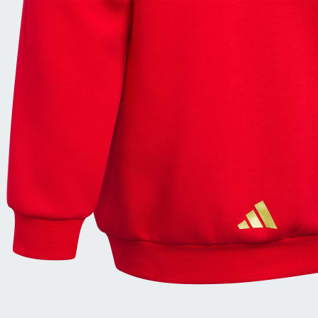 SPORTSWEAR Junior Boy Knitted Hoodie