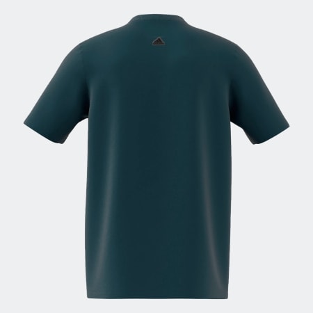 M FI CAMO T