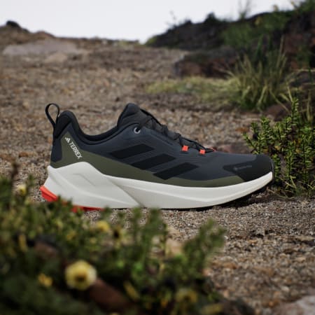 Planinarske cipele Terrex Trailmaker 2 GORE-TEX