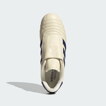 Adidas Taekwondo Shoes