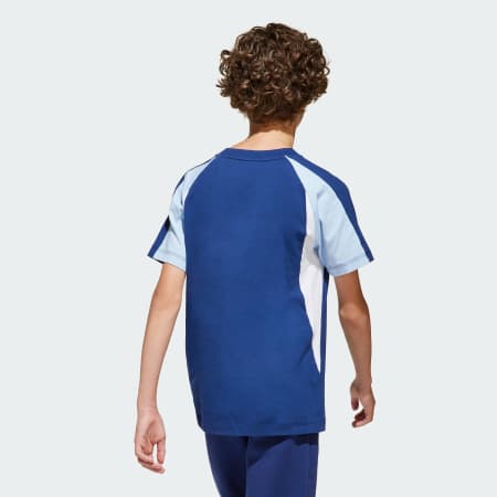 Seasonal Essentials Colorblock Tee Kids