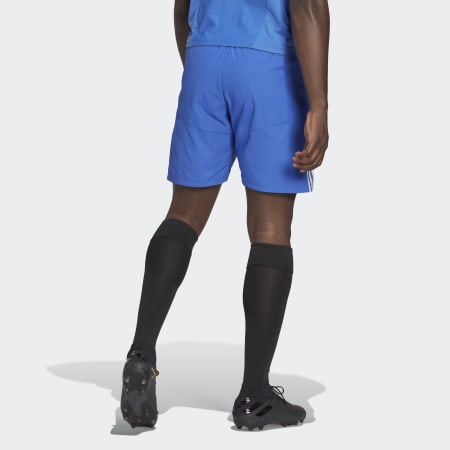 Japan Travel Shorts