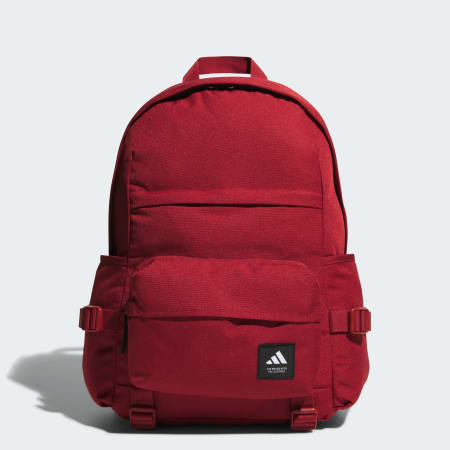 2-in-1 Backpack