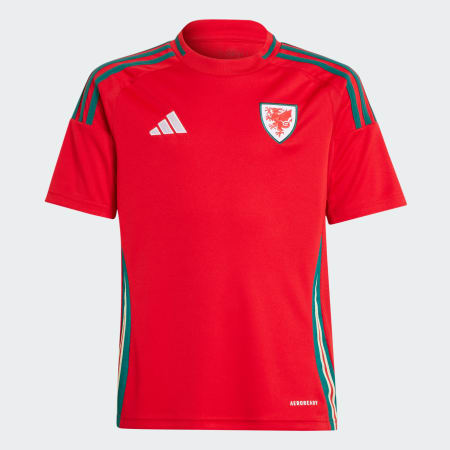 Dječji dres Wales 24 Home