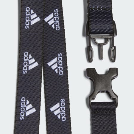 Lanyard