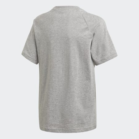 Adicolor Graphic Tee