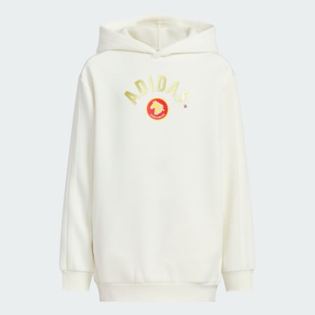 SPORTSWEAR Junior Boy Knitted Hoodie