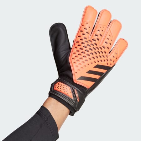 Predator Training Gloves