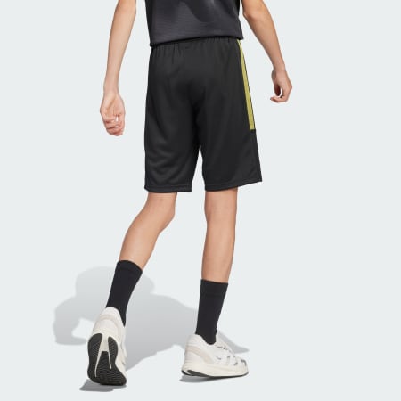 מכנסי כדורגל קצרים לילדים House of Tiro Colors of Football